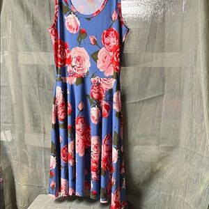 LuLaRoe Light Blue Floral Dress with Pink Accents
